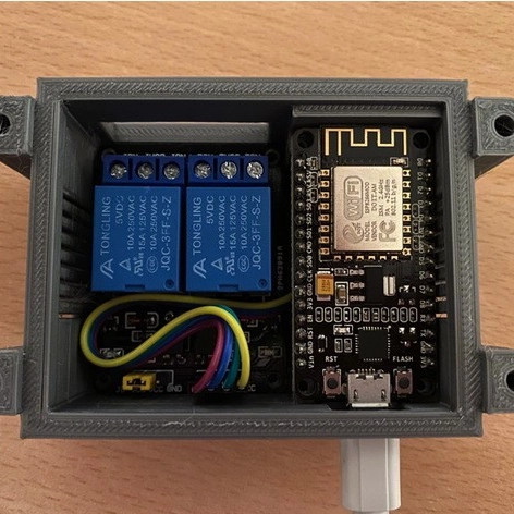 Smart Switch (2 Channel)